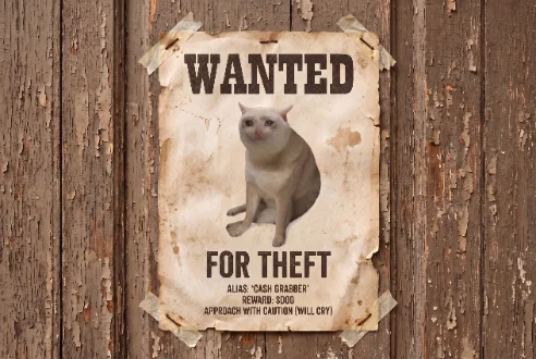 The cash cat